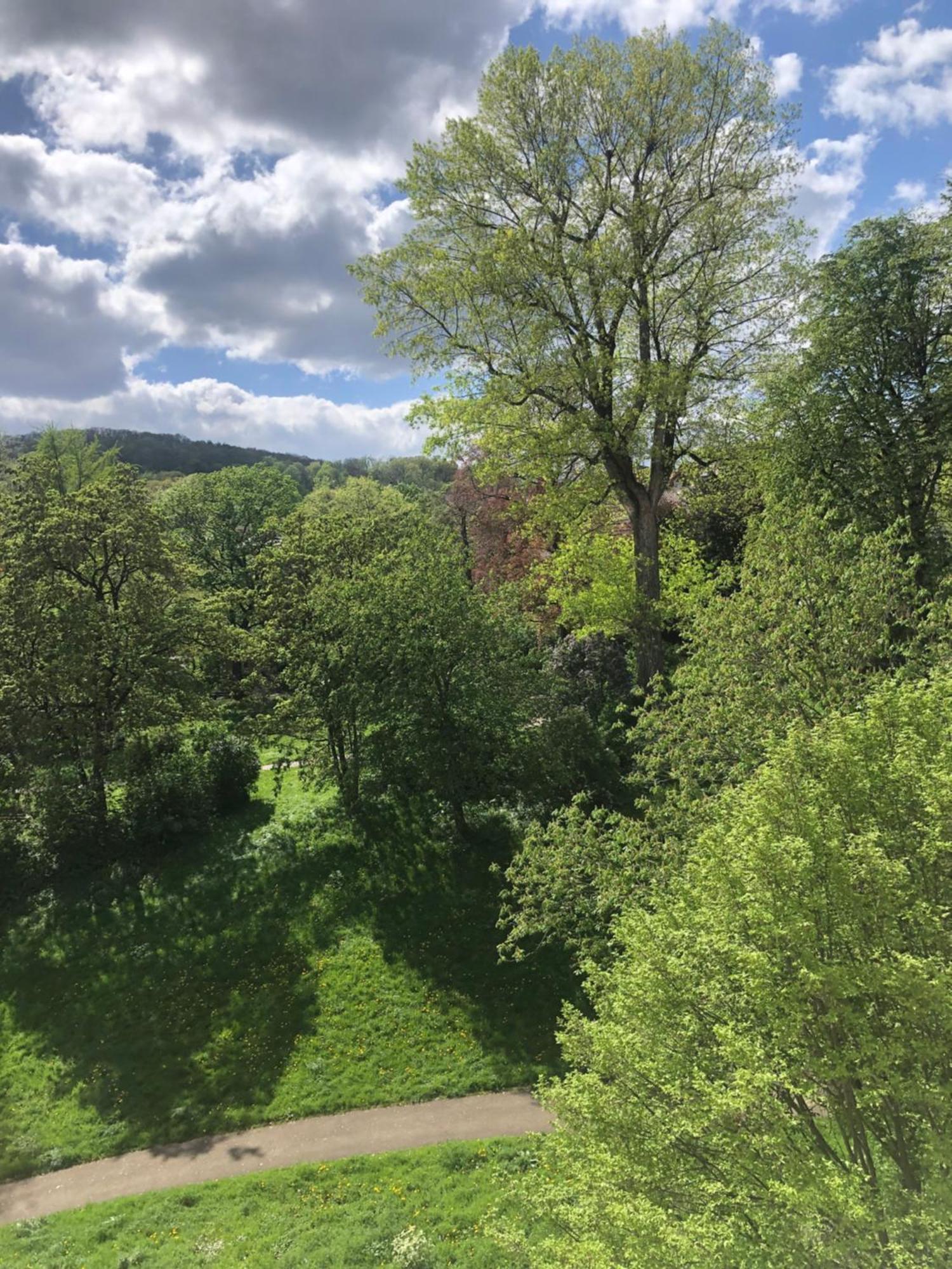 Zimmer Mit Parkblick Stuttgart Zewnętrze zdjęcie
